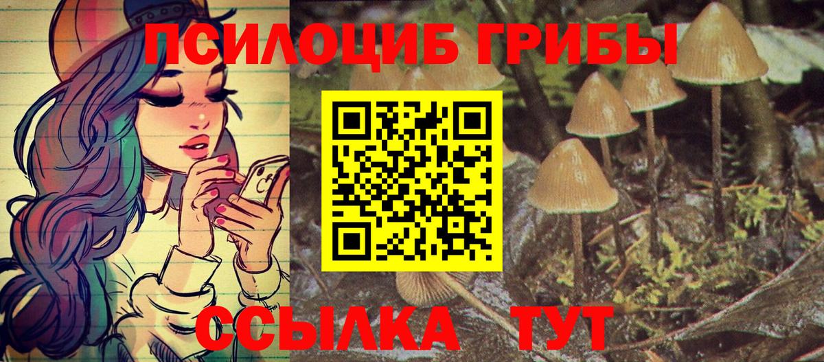 Галлюциногенные грибы GOLDEN TEACHER  Вход с VPN  Галлюциногенные грибы Magic Shrooms  магазин продажи наркотиков  Ярославль 