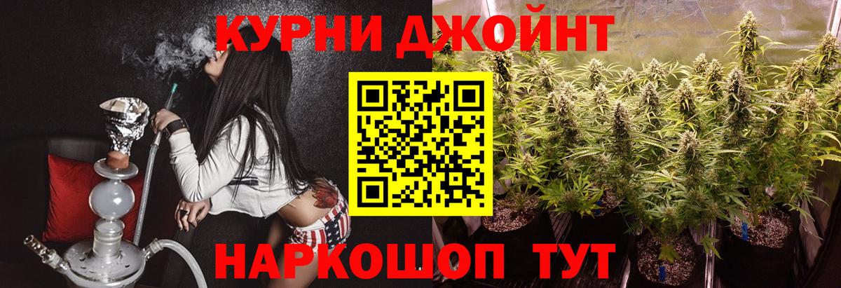 Конопля планчик Ярославль